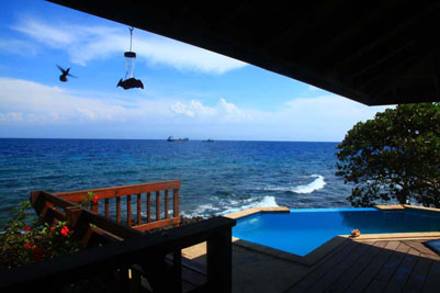 Roatan hummer and view